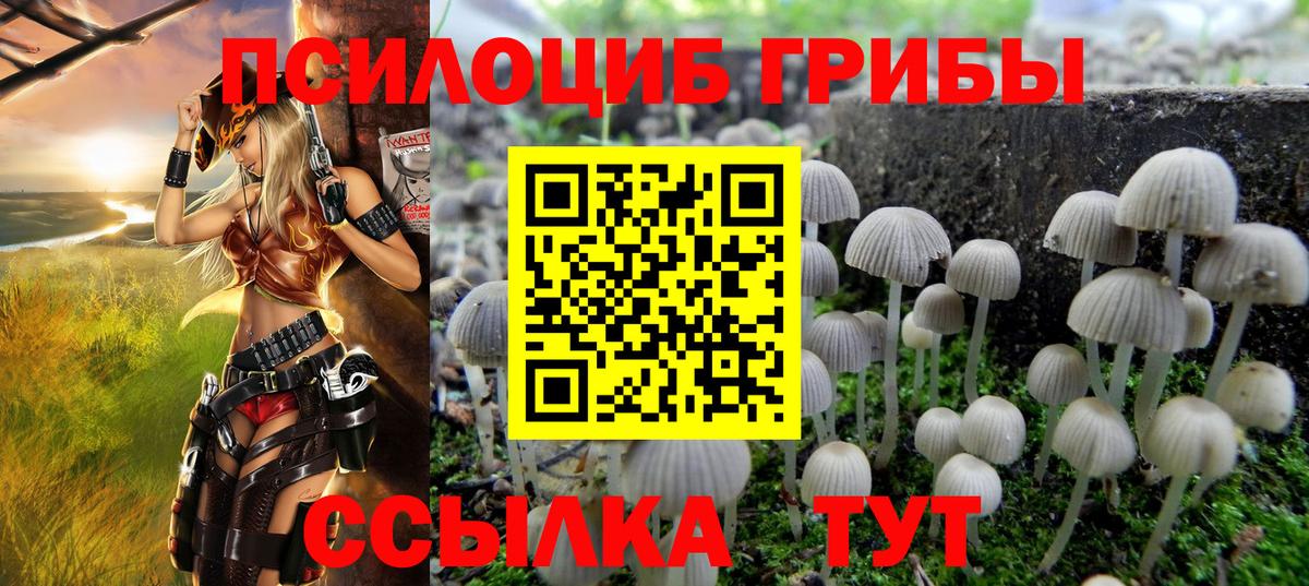 Галлюциногенные грибы прущие грибы  Вход с VPN  Троицк 